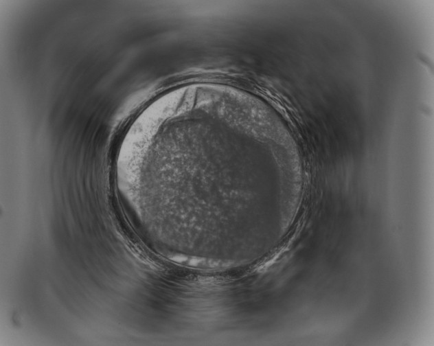 X0000096470149200802211159
