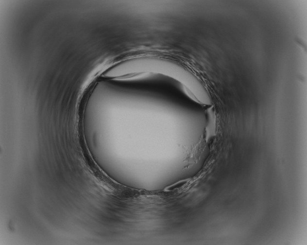 X0000096470150200802211159
