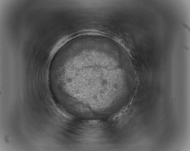 X0000096470151200802211159