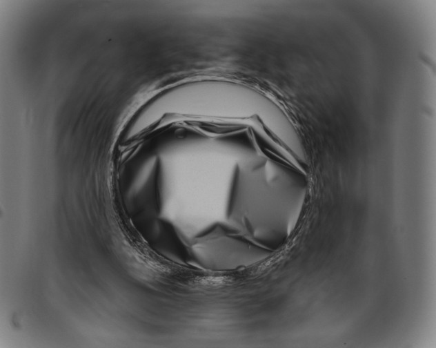 X0000096470152200802211159