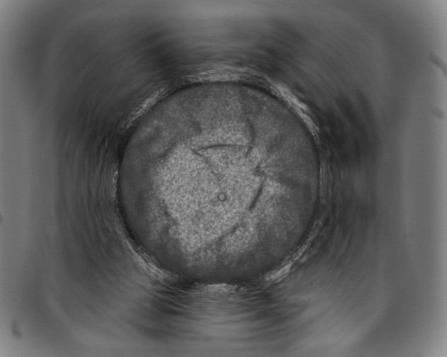 X0000096470153200802211159