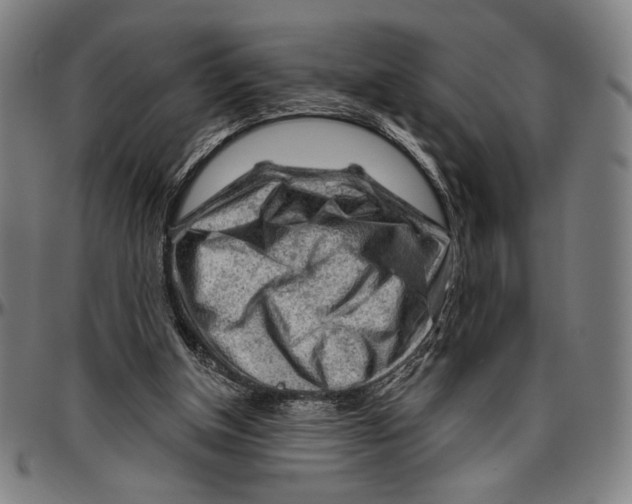 X0000096470154200802211159