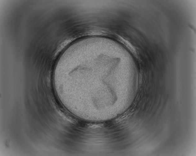 X0000096470155200802211159
