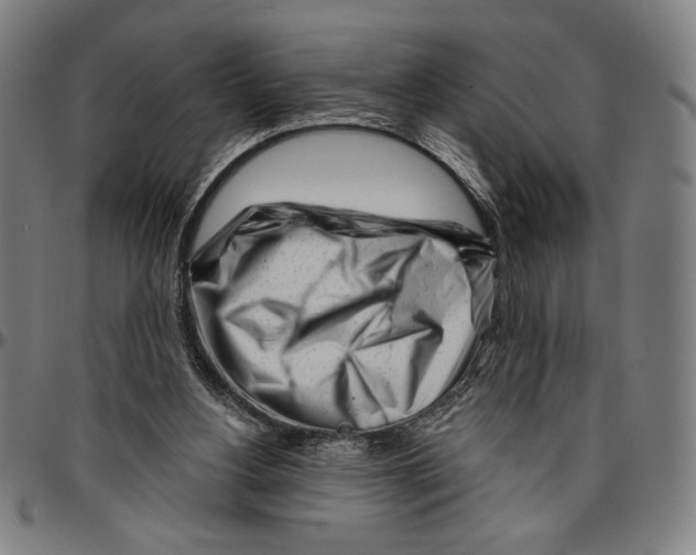 X0000096470156200802211159