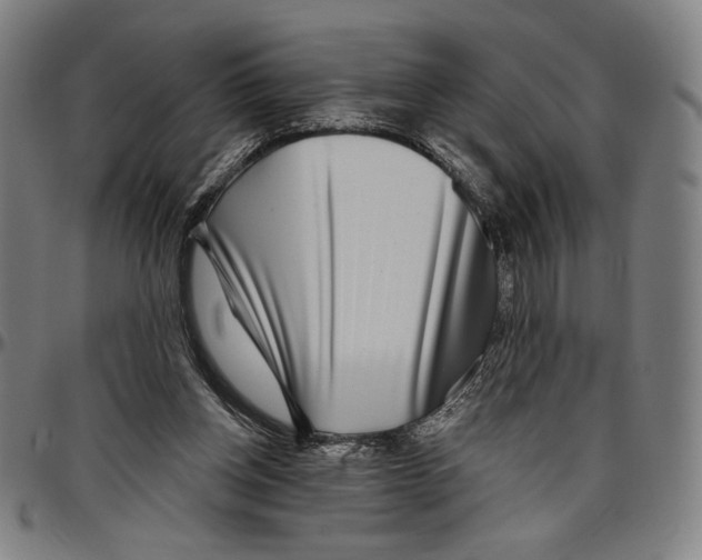 X0000096470158200802211159