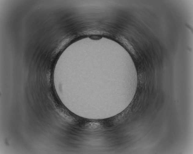 X0000096470159200802211159