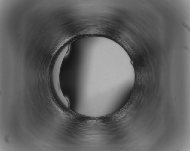 X0000096470160200802211159