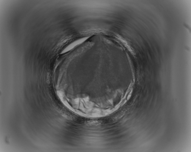 X0000096470161200802211159