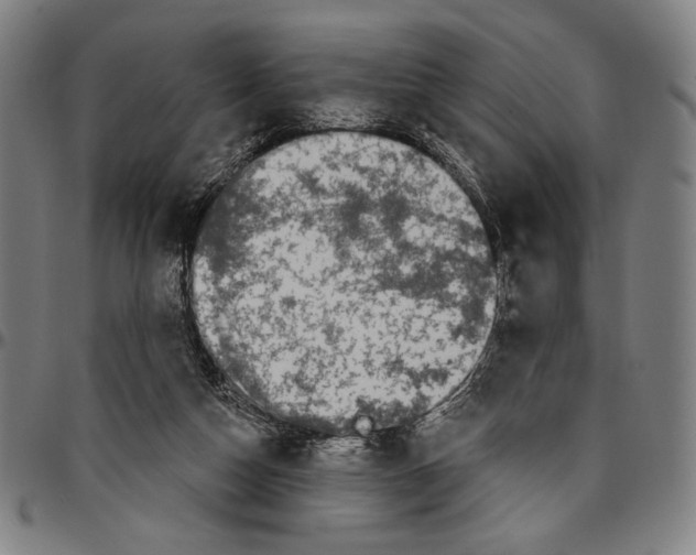 X0000096470162200802211159