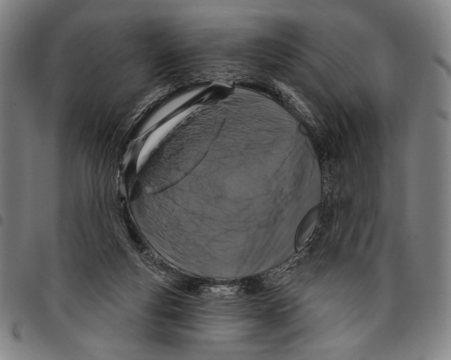 X0000096470163200802211159