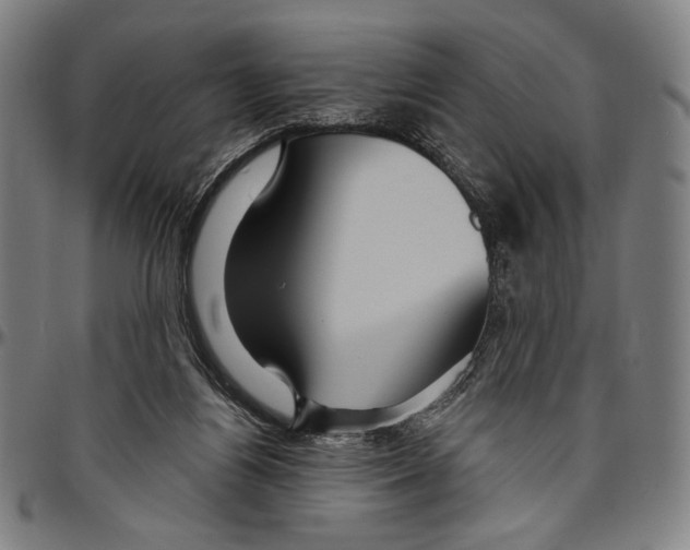 X0000096470164200802211159