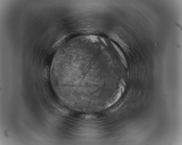 X0000096470165200802211159