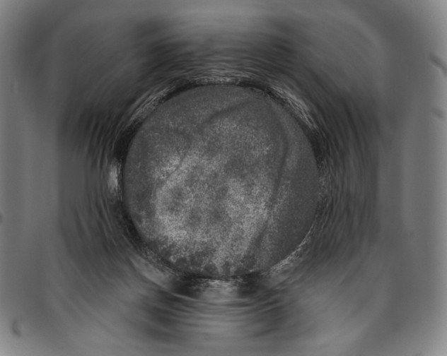 X0000096470166200802211159