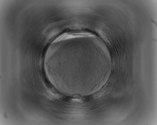 X0000096470167200802211159