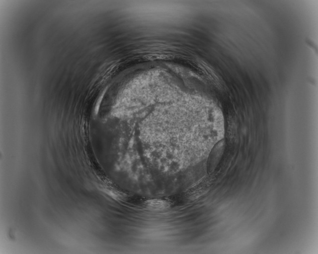 X0000096470169200802211159