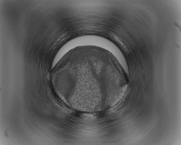 X0000096470170200802211159