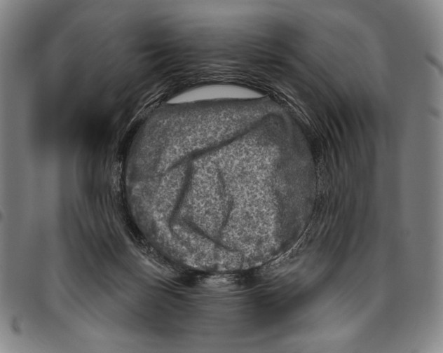 X0000096470171200802211159