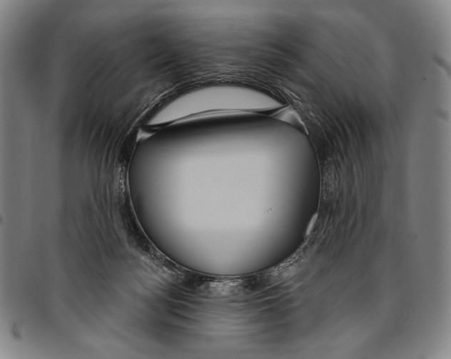 X0000096470172200802211159