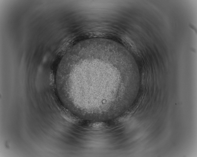 X0000096470173200802211159