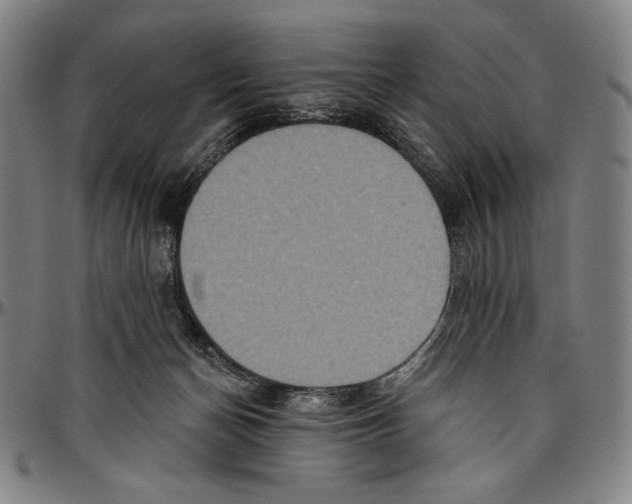 X0000096470174200802211159