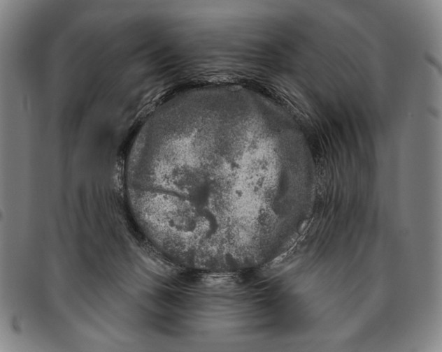 X0000096470175200802211159