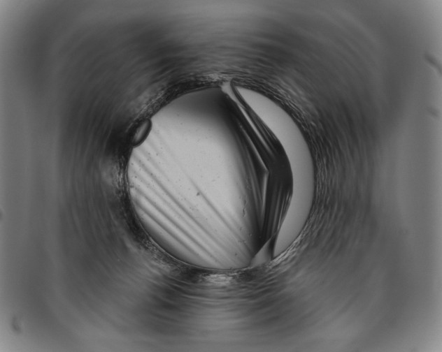 X0000096470176200802211159