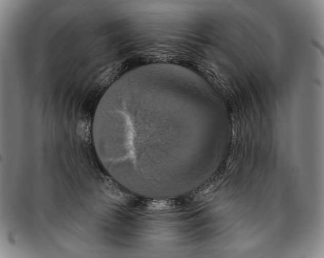 X0000096470177200802211159