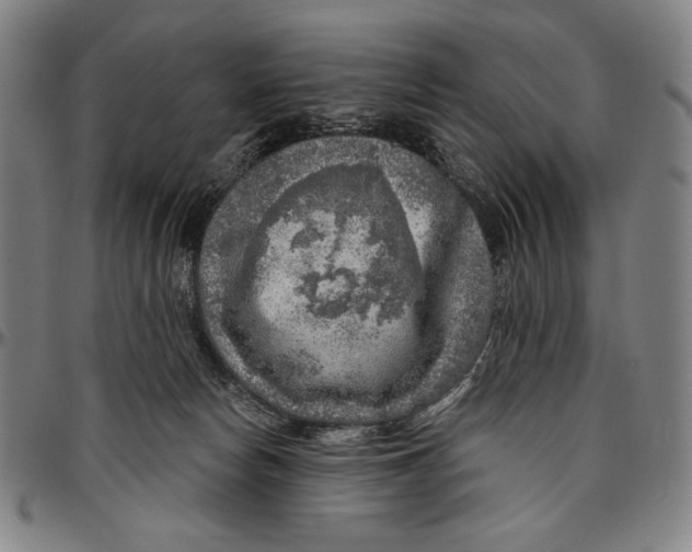 X0000096470178200802211159