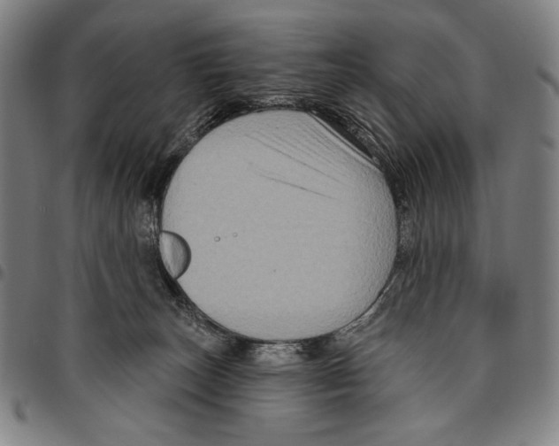 X0000096470179200802211159