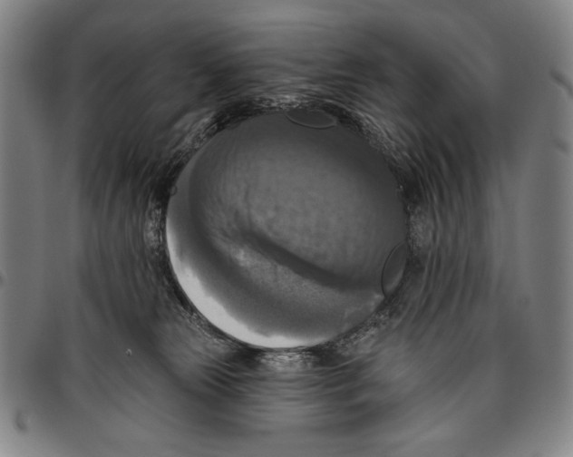 X0000096470181200802211159