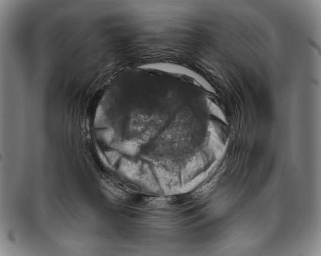 X0000096470182200802211159