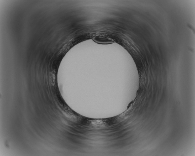 X0000096470183200802211159