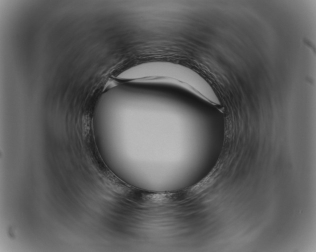 X0000096470184200802211159