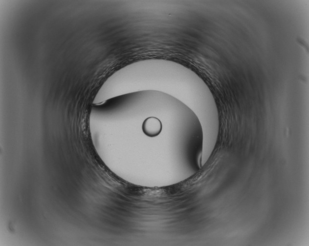 X0000096470185200802211159