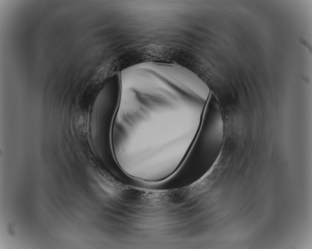 X0000096470186200802211159