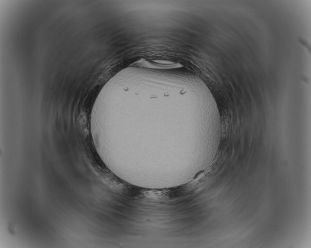 X0000096470187200802211159