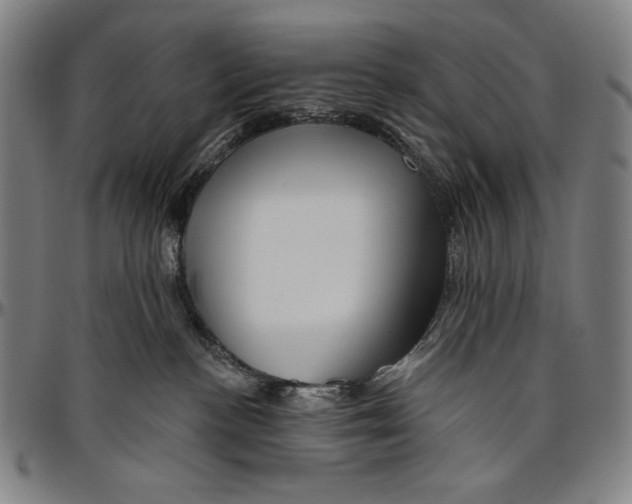 X0000096470188200802211159