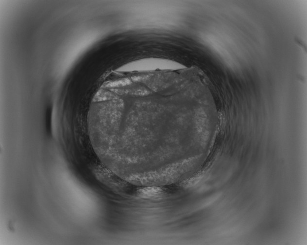 X0000096470189200802211159