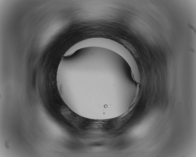X0000096470190200802211159