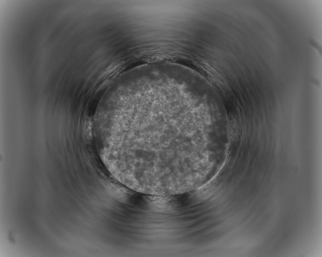 X0000096470191200802211159