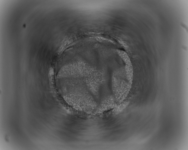 X0000096470192200802211159