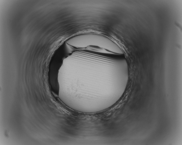 X0000096470193200802211159