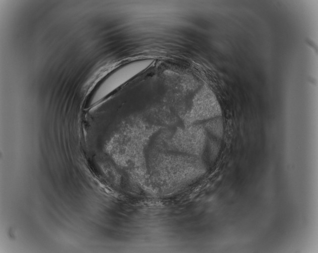 X0000096470194200802211159