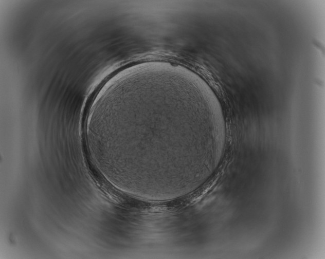 X0000096470196200802211158
