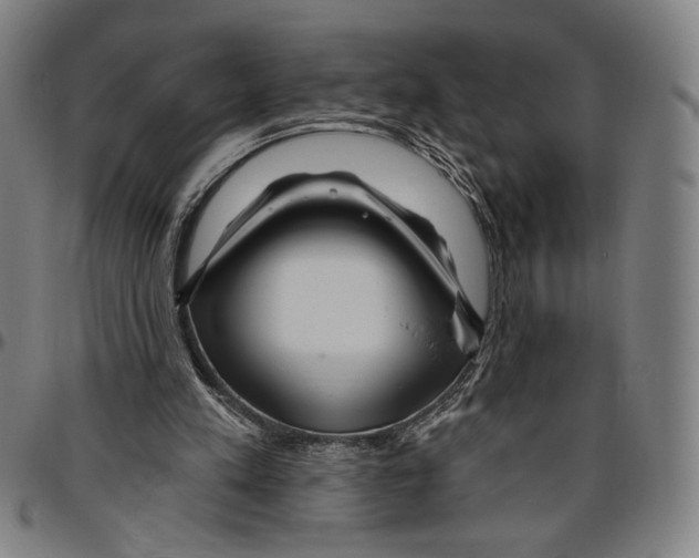 X0000096470197200802211158