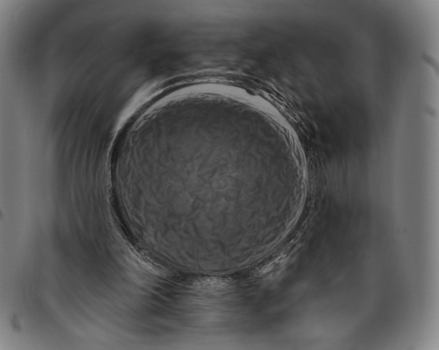 X0000096470198200802211158