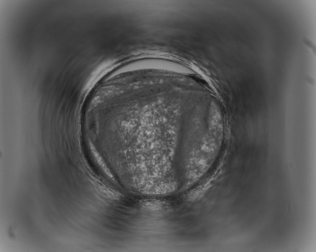 X0000096470199200802211158