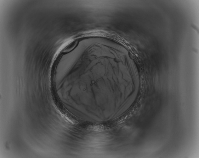 X0000096470200200802211158