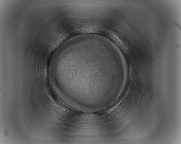 X0000096470202200802211158