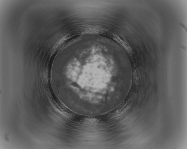 X0000096470203200802211158